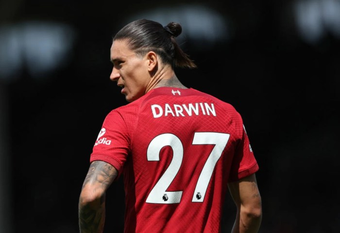 CHUTOGEL - Perkembangan Darwin Nunez di Liverpool