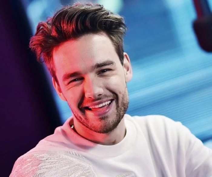 CHUTOGEL biografi Liam Payne