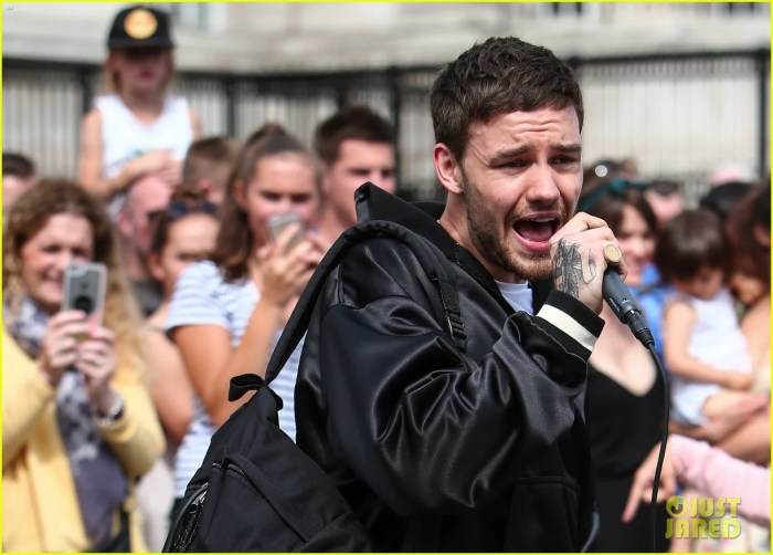 CHUTOGEL pengaruh Liam Payne terhadap penggemarnya